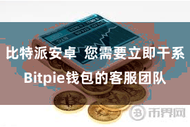 比特派安卓  您需要立即干系Bitpie钱包的客服团队