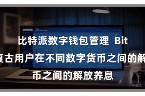 比特派数字钱包管理  Bitpie还复古用户在不同数字货币之间的解放养息