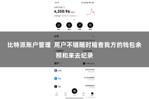 比特派账户管理  用户不错随时稽查我方的钱包余额和来去纪录